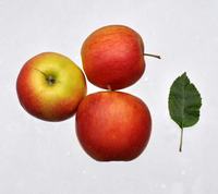 Jonagored æbler